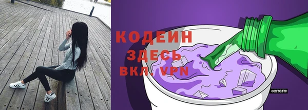 прущая мука Ельня