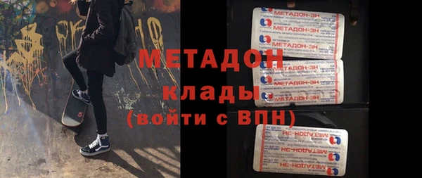 индика Осинники