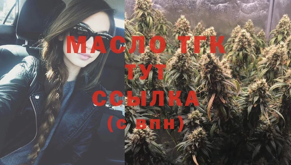 индика Осинники