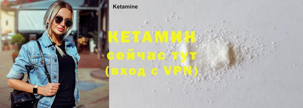 индика Осинники