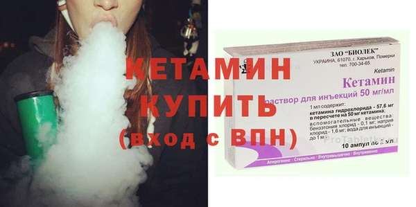 индика Осинники