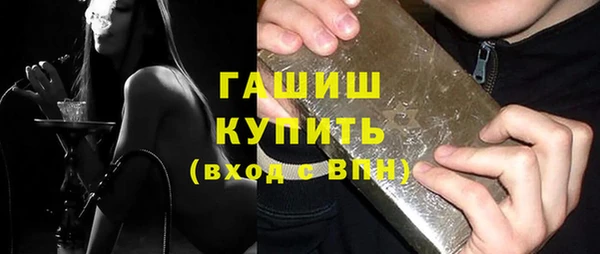 индика Осинники