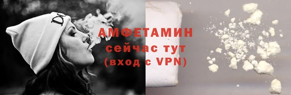 индика Осинники