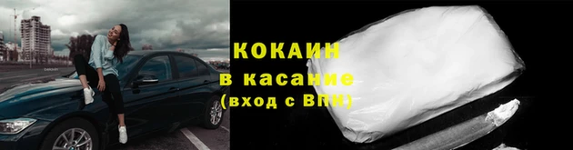 индика Осинники