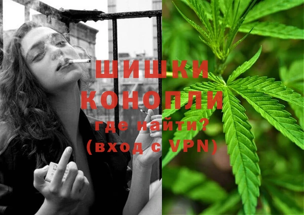 индика Осинники