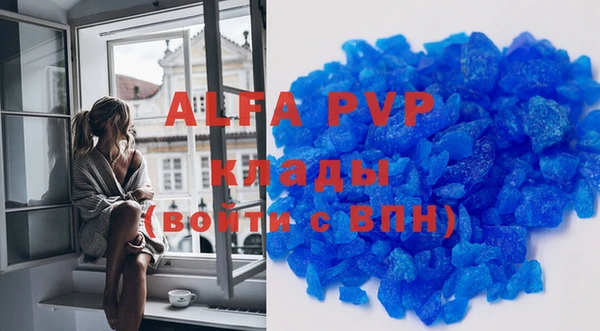 индика Осинники