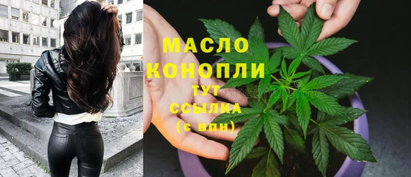 индика Осинники
