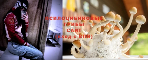 прущая мука Ельня