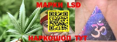 гидропоника Беслан
