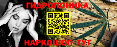 кокс Берёзовский