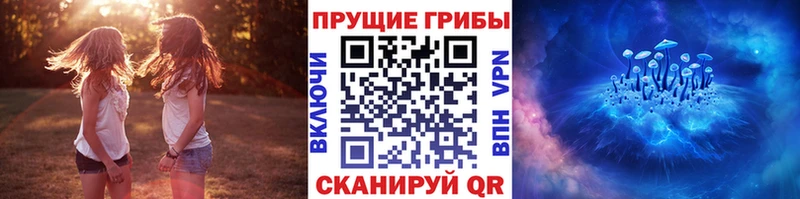 ОМГ ОМГ онион  Лыткарино  Псилоцибиновые грибы прущие грибы  где можно купить наркотик 